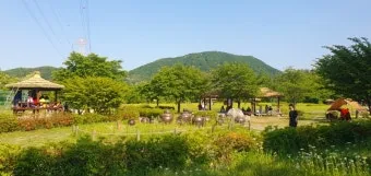 고린도전서 1장 : 인사와 감사_37
