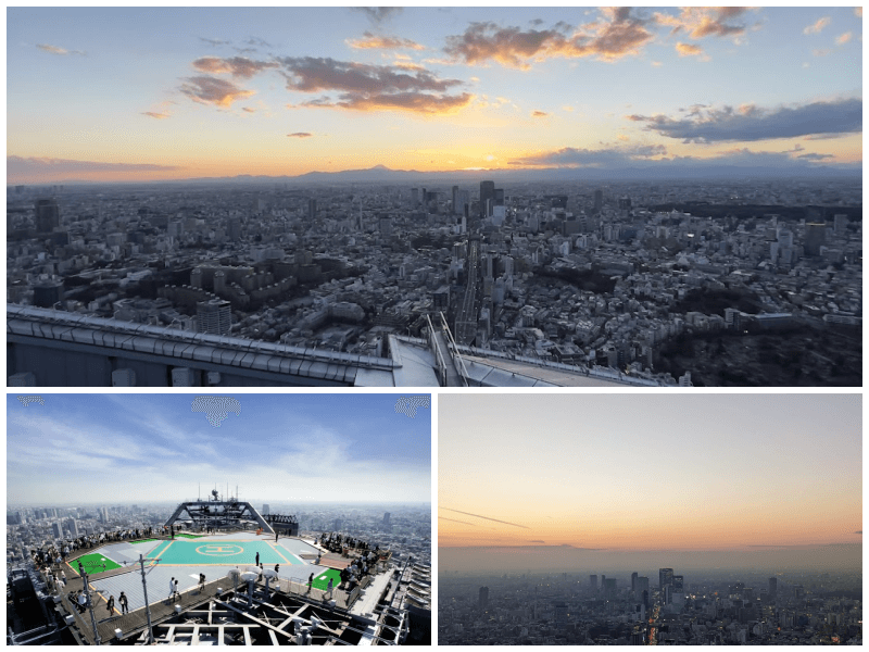 도쿄-전망대-모리타워