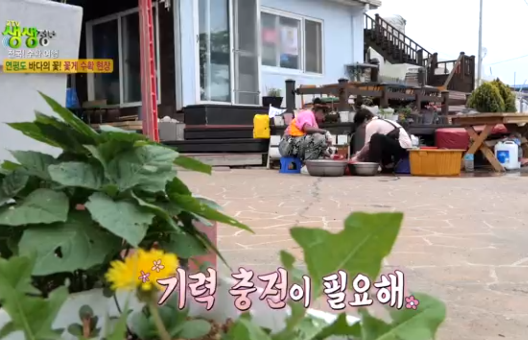 생생 정보통 맛집 식당 정보