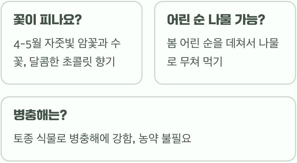 토종 바나나, 으름덩굴 키우기 A to Z