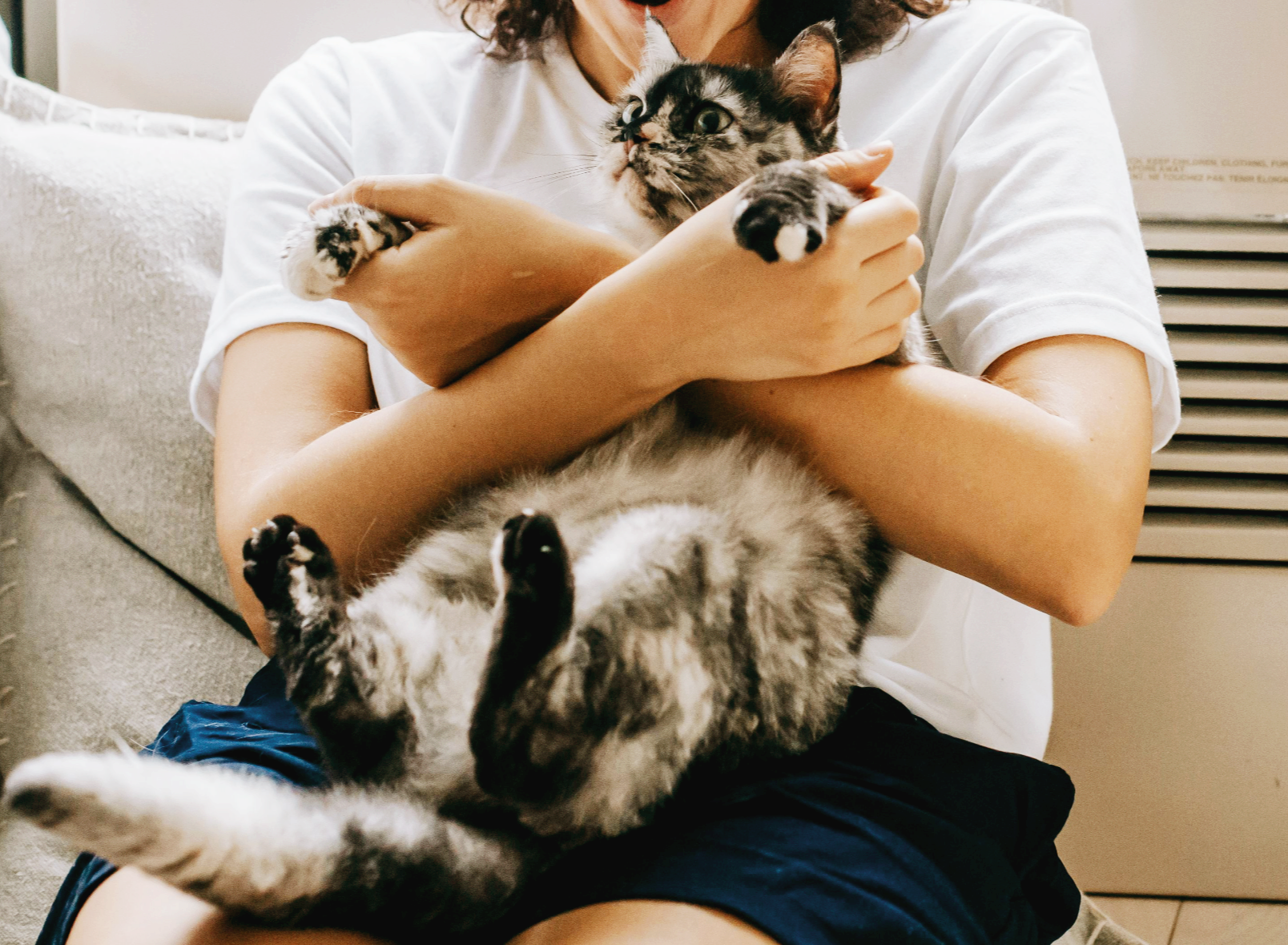 반려동물을 위한 저주파 진동 발생원을 차단하는 집 구조 셋업법