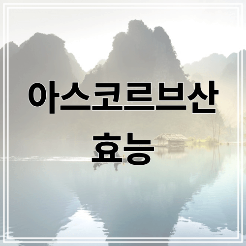 아스코르브산 효능