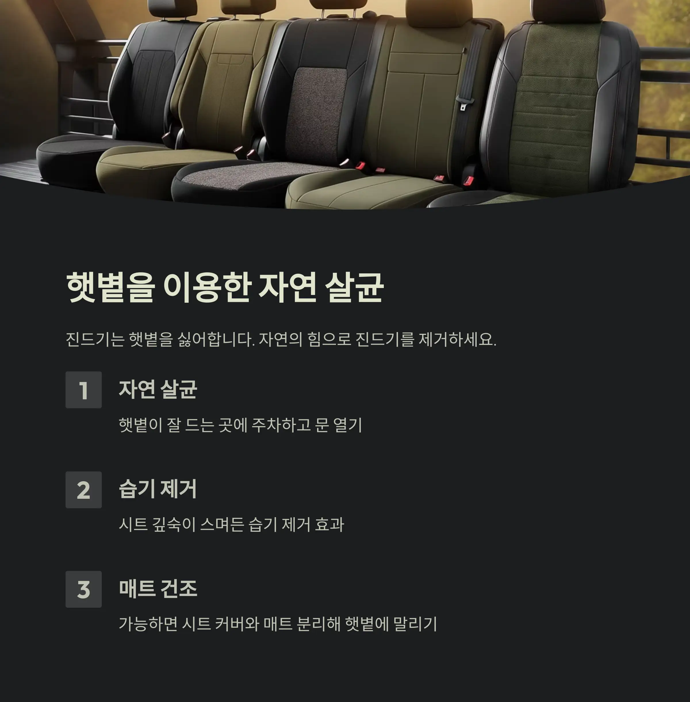 차량 진드기 제거 정보
