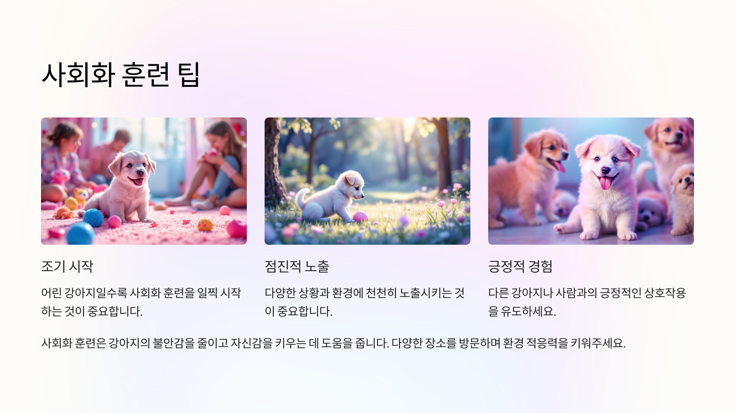 사회화 훈련 팁