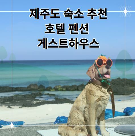 제주도 숙소 호텔 펜션 게스트하우스 추천