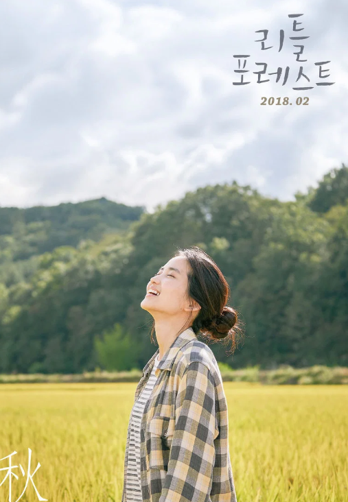 리틀포레스트 사계절