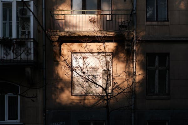 디지털 기기 과다 노출이 뇌 발달에 미치는 영향과 디톡스의 역할