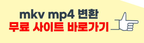 mkv mp4 변환 방법
