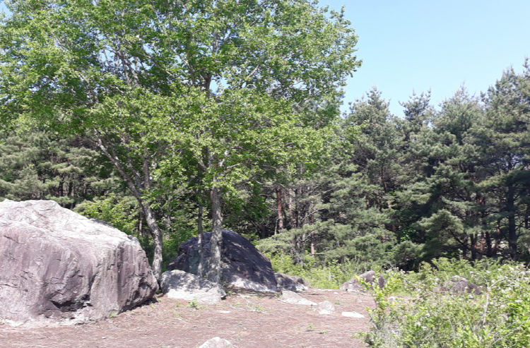 가야산 생태탐방원 전경