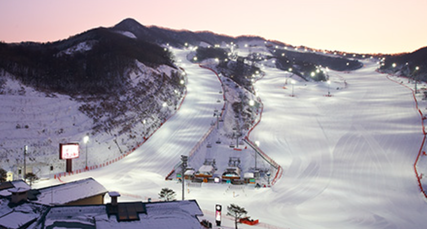 스키장 개장일정