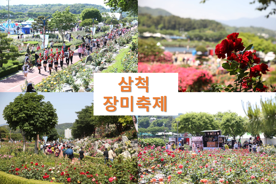 삼척장미축제