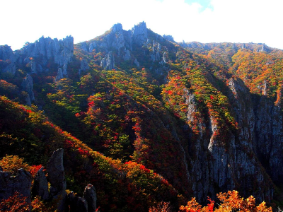제주도 관광 여행