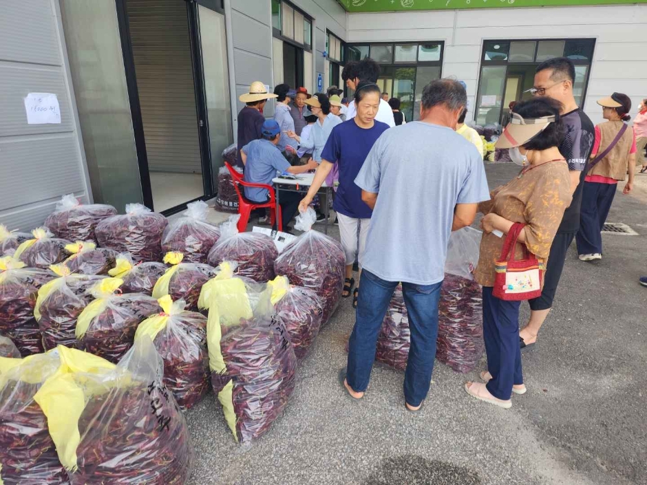 고창 해풍고추축제