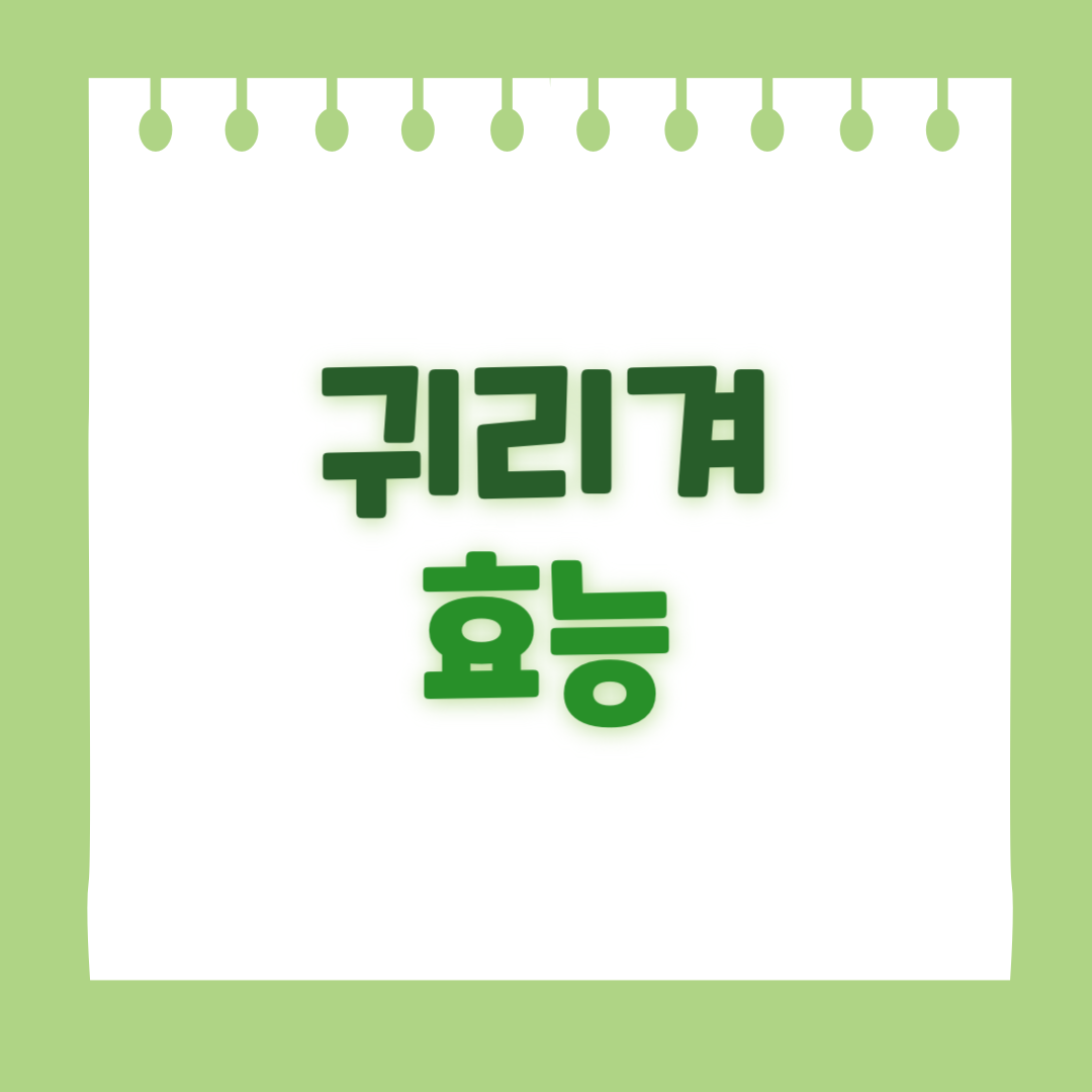 귀리겨의 효능과 부작용