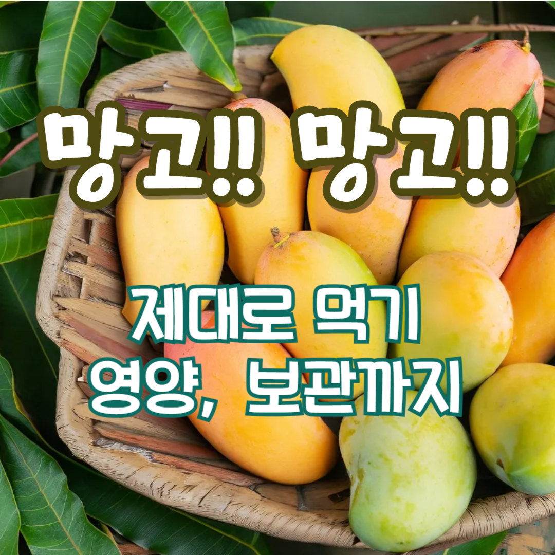 망고