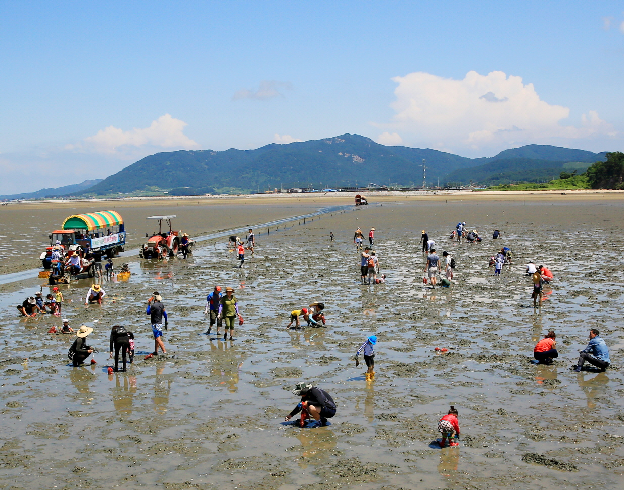 고창 하전갯벌생태체험 모습