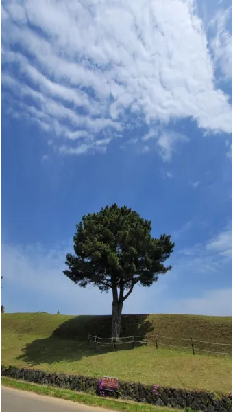 제주 항파두리 유적지 역사 공부 겸 산책코스 소개_17