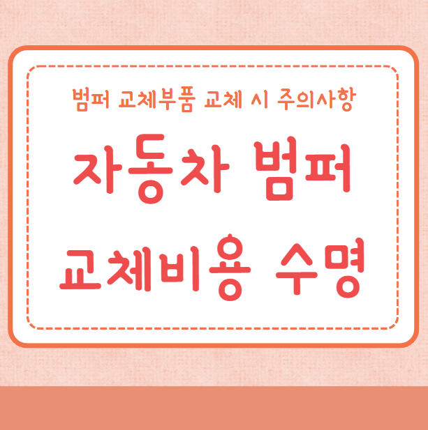 자동차 앞범퍼 뒷범퍼 교체비용 수명