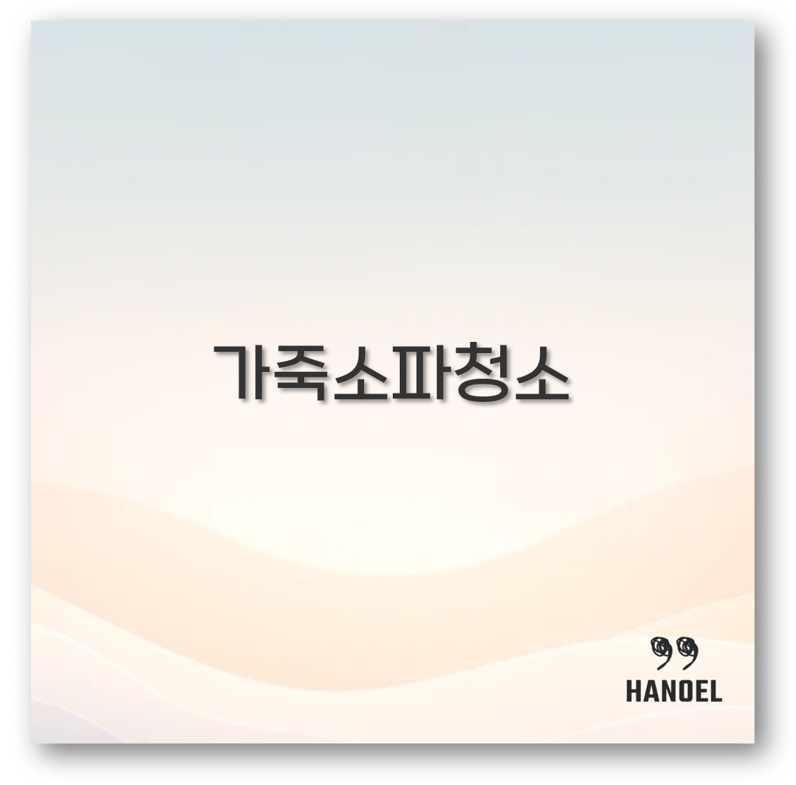 가죽소파청소