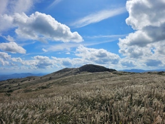 황매산 억새축제