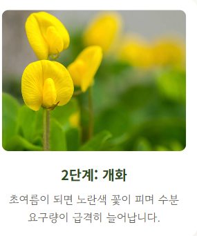 땅콩 심는시기