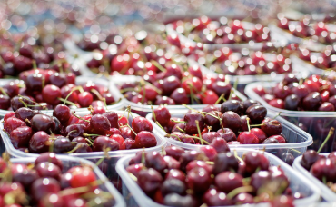 온누리상품권 환급 행사