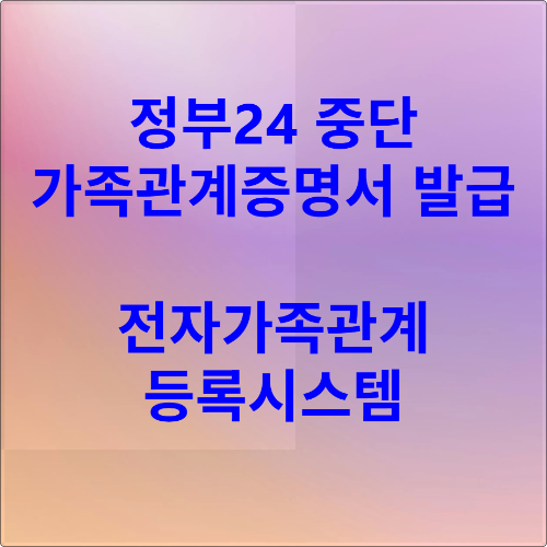 정부24 중단 대체 발급