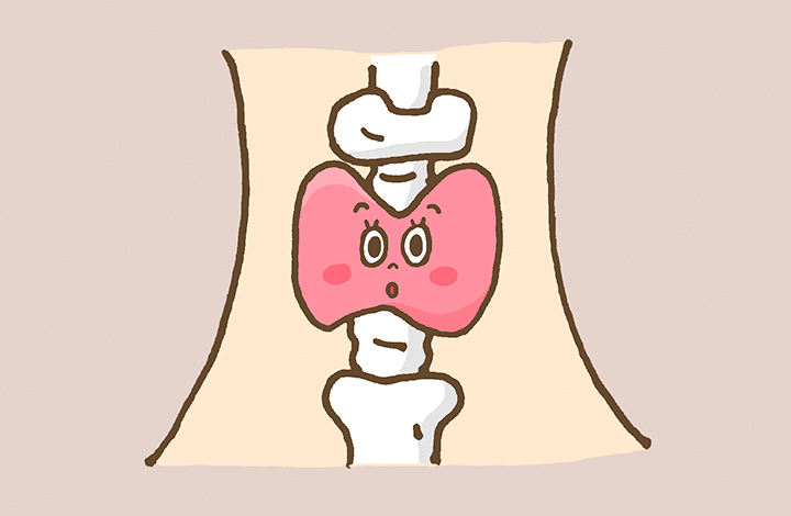 갑상선-기능-저하