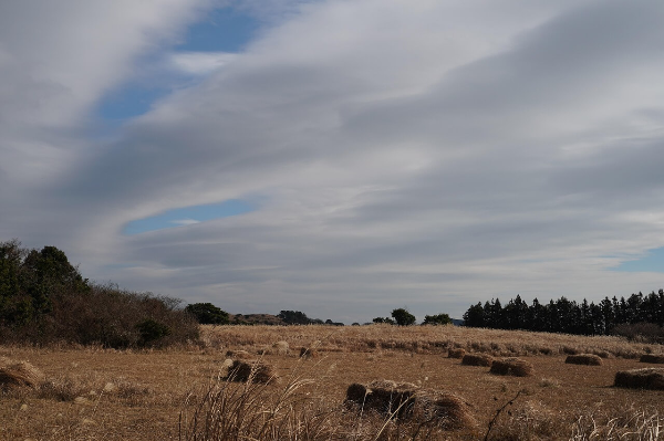 시간을 초월한 지혜: 기원전 한국인의 놀라운 건강 비결 8가지 2