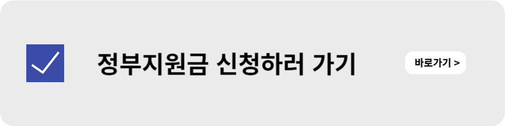 정부지원금