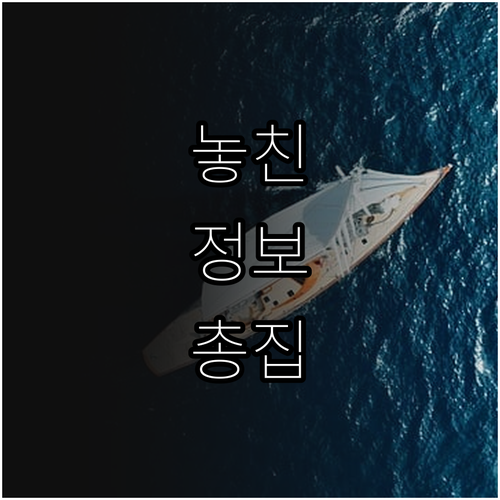 2025 서울형 주택바우처 월세 현금..