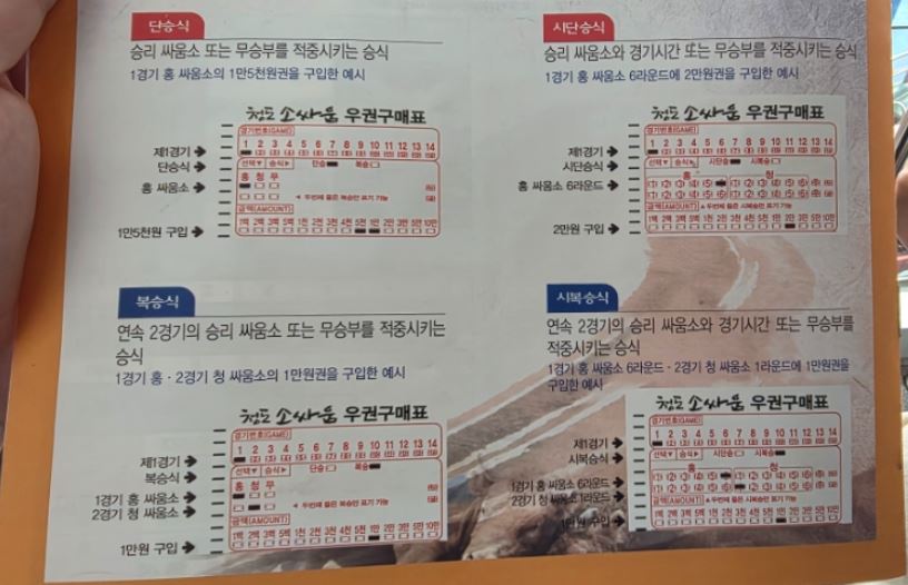 청도 소싸움 경기장