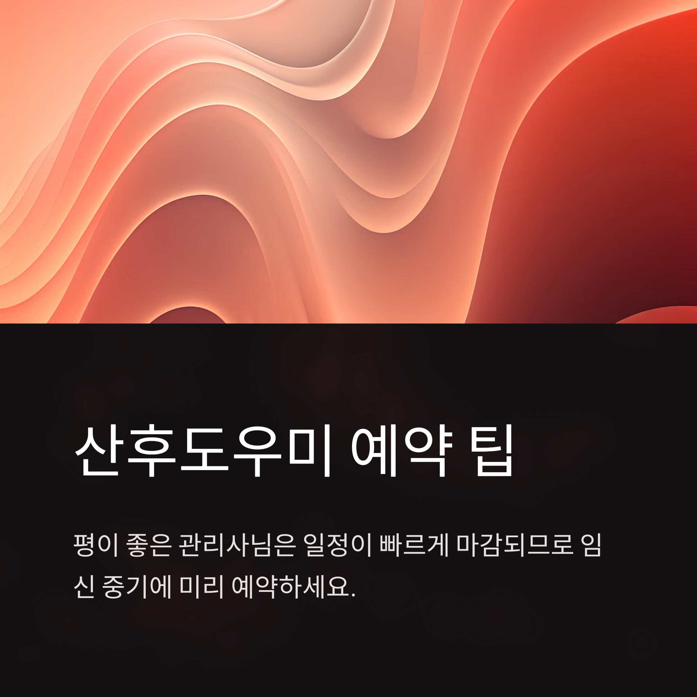 2025년 산후도우미 정부지원금