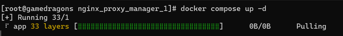 docker compose 실행 시 화면