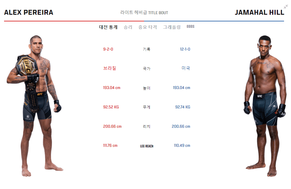 UFC 300 페레이라 vs 힐