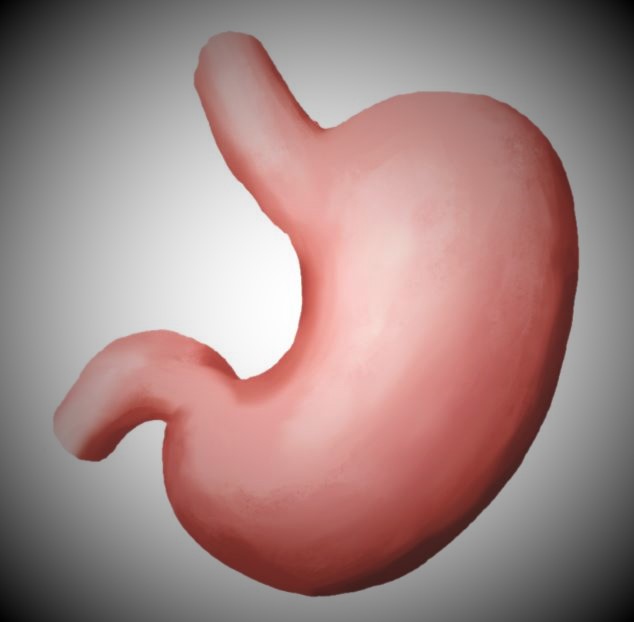 역류성 식도염 예방