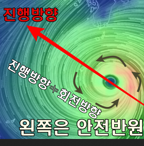 안전반원