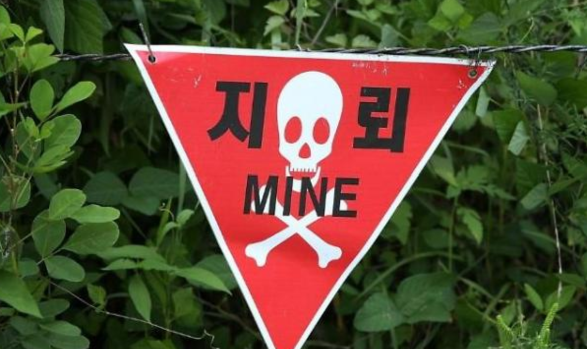 DMZ 지뢰 폭발