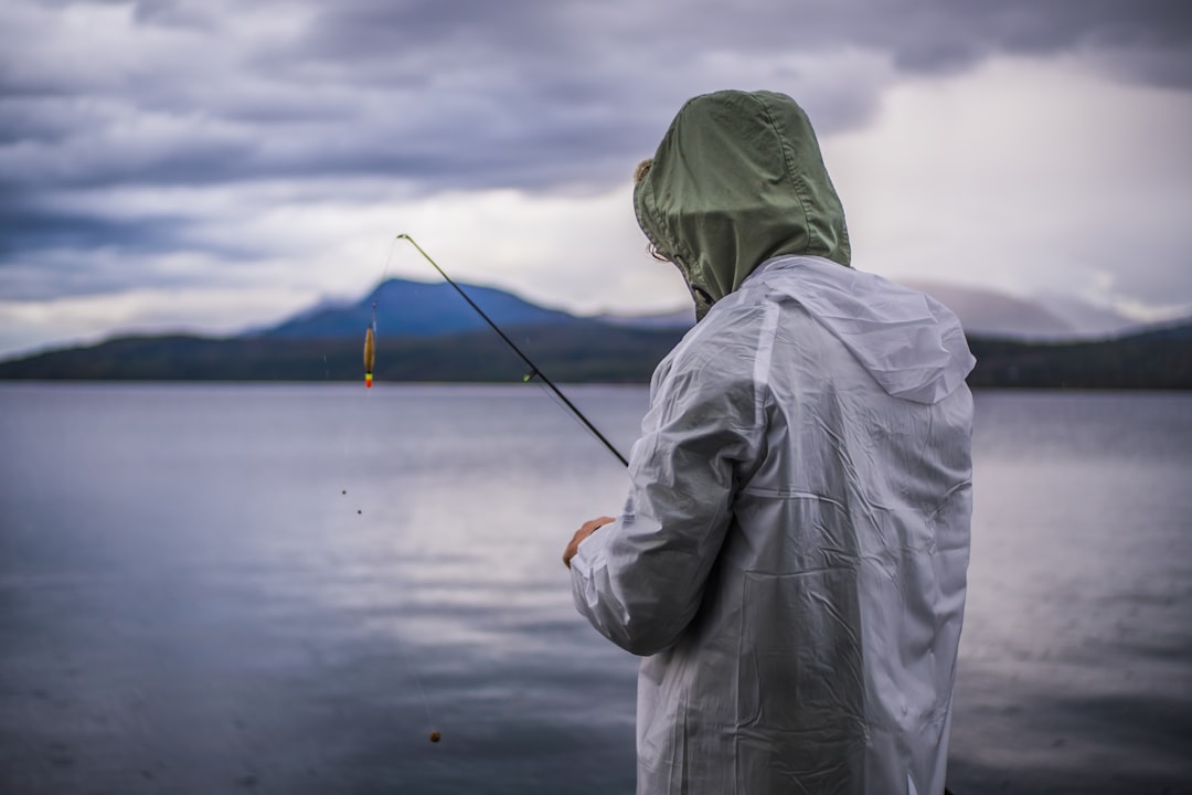 Lure