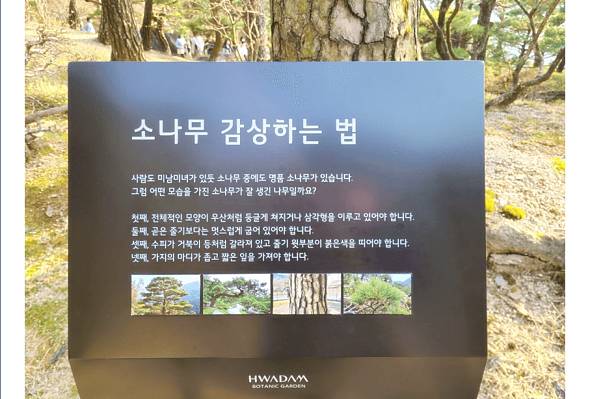 화담숲-방문-가을-1