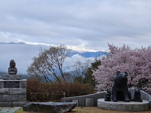 카페오도재 해발700m