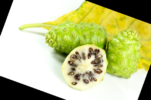 노니 효능 부작용 주스 복용법