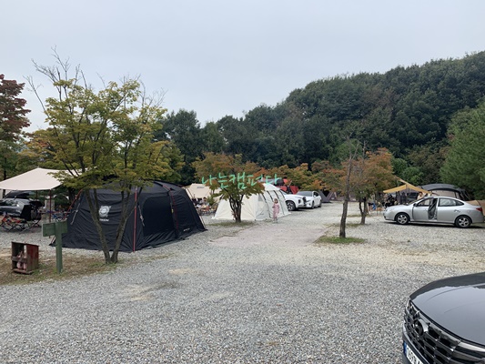 사이트-용인 단풍숲 캠핑장