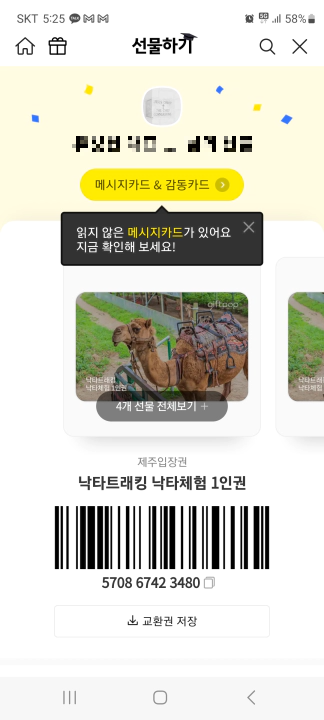 제주 낙타 트래킹 티켓 선물