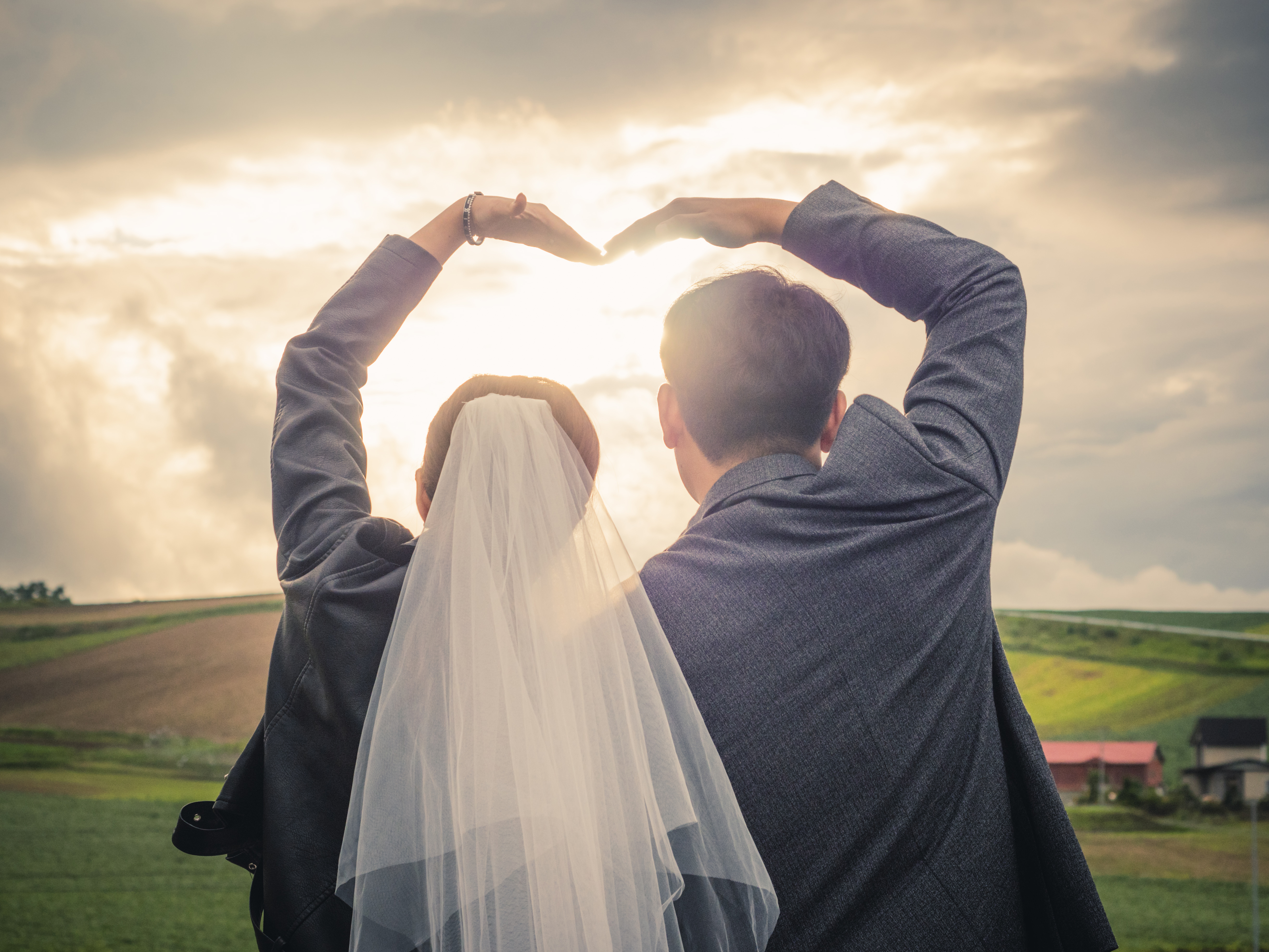 비동행 플래너 비용