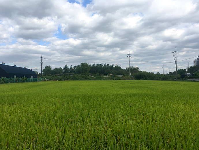 경인아라뱃길_풍경11