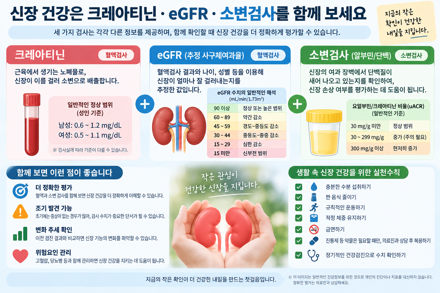신장검사 결과를 소변검사와 함께 확인하는 그림