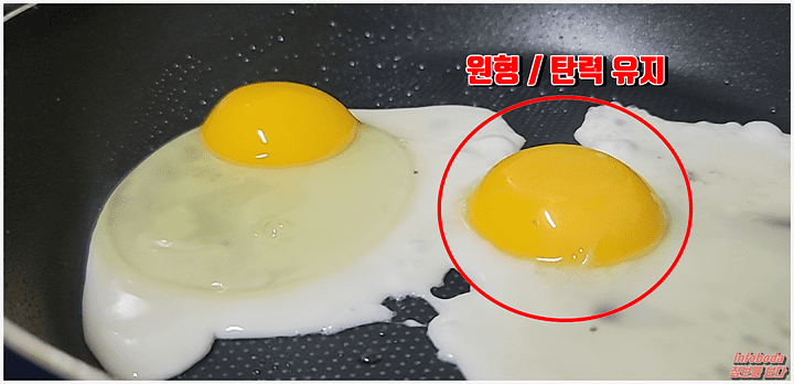 계란 신선도와 관련 있는 노른자 탄력과 원형