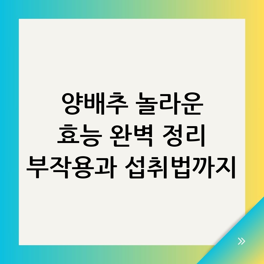 양배추 효능