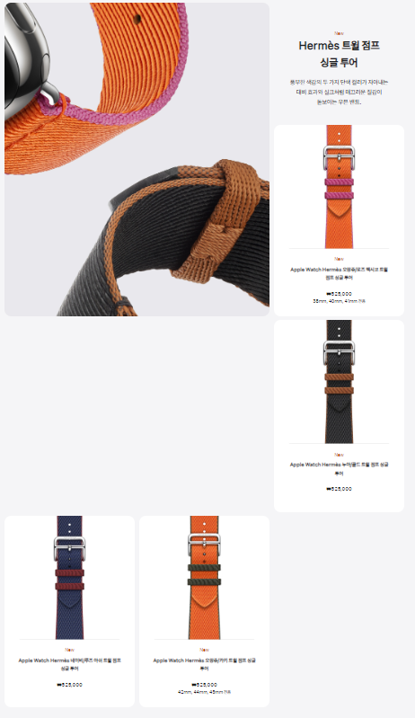 애플 에르메스 밴드